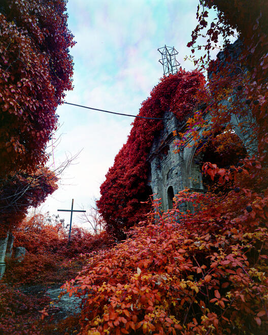 Cross - II