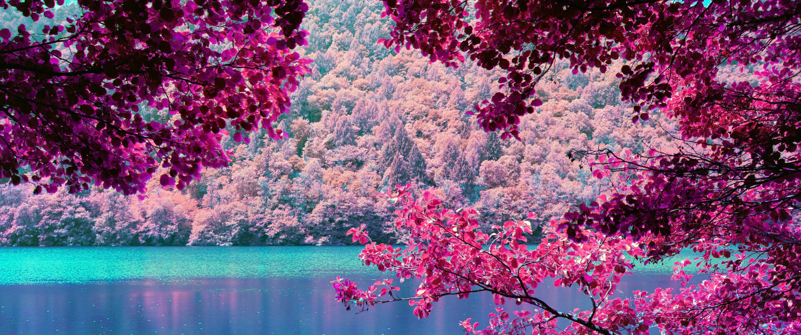 Spring Spring