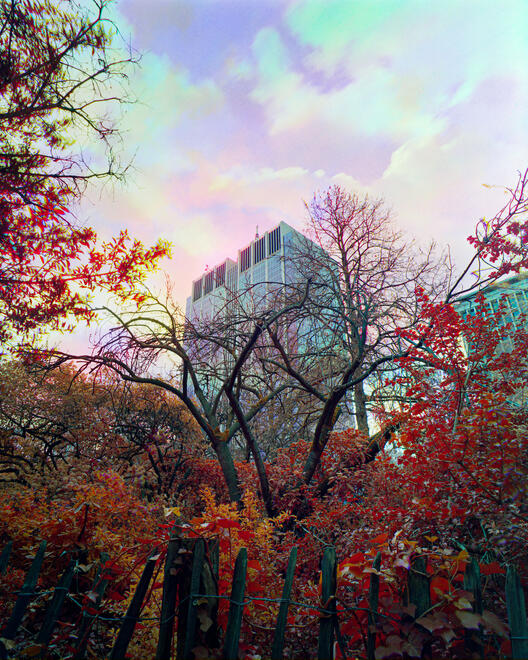 Alien City Alien City