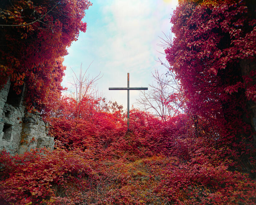 Cross - I