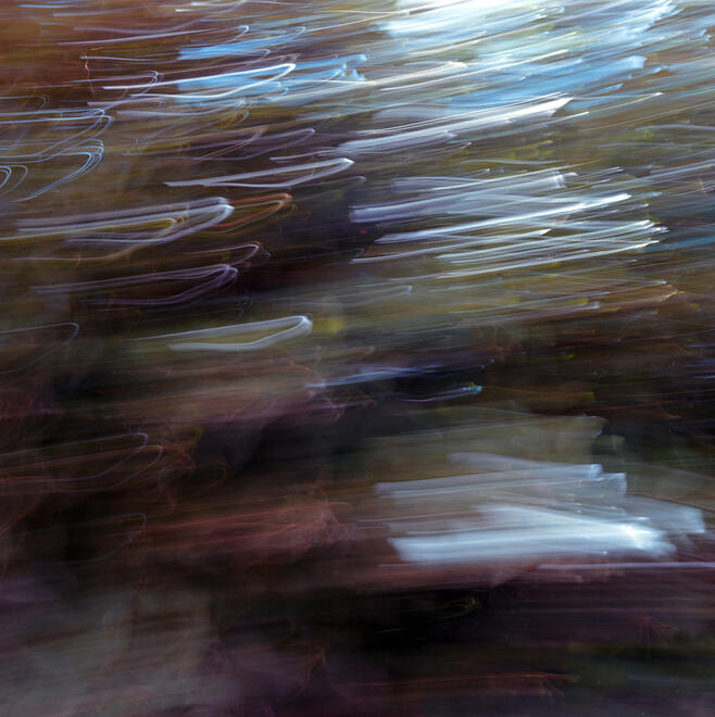 Movement Movement