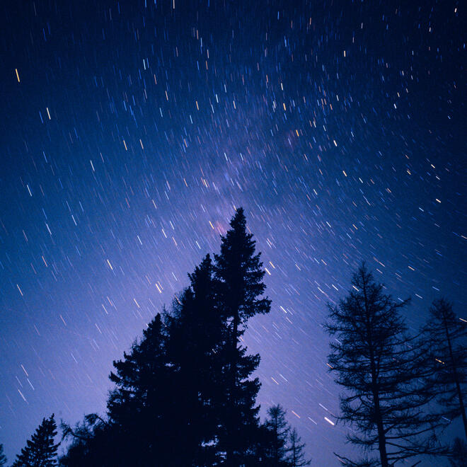 Night
