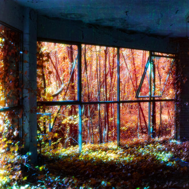 Astral Plane - IV