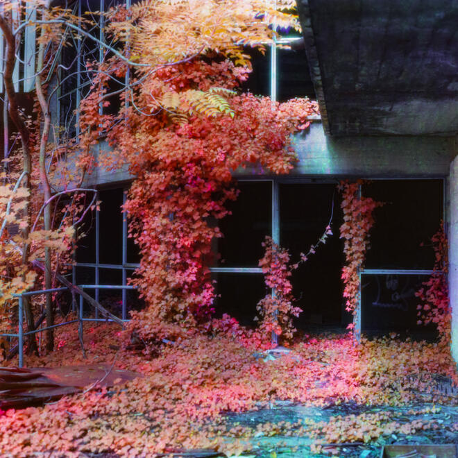Astral Plane - V Astral Plane - V